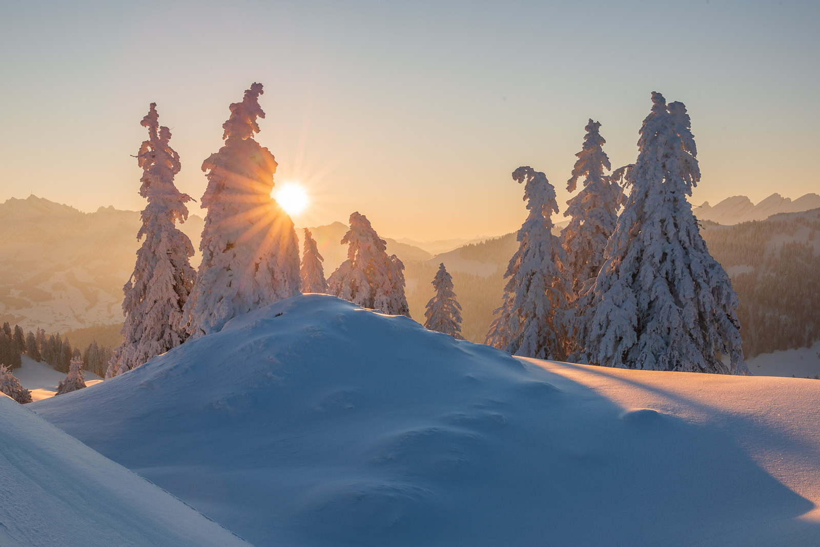  DSC4989 Bearbeitet web