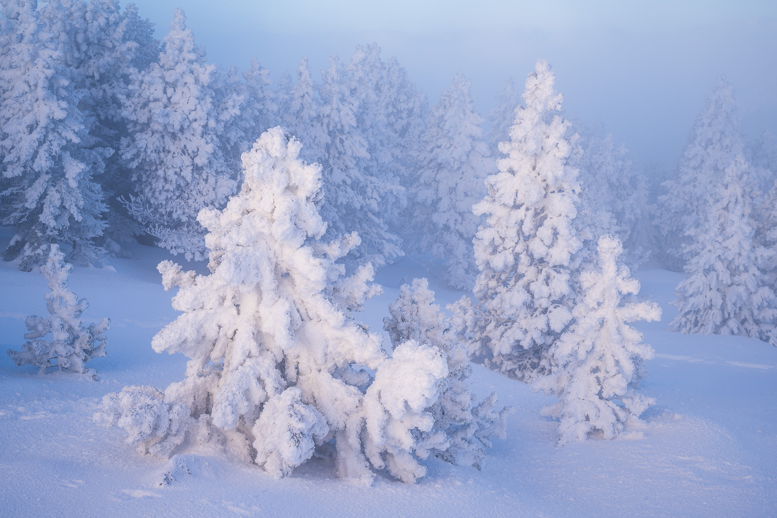 Eiskalter Wintertraum