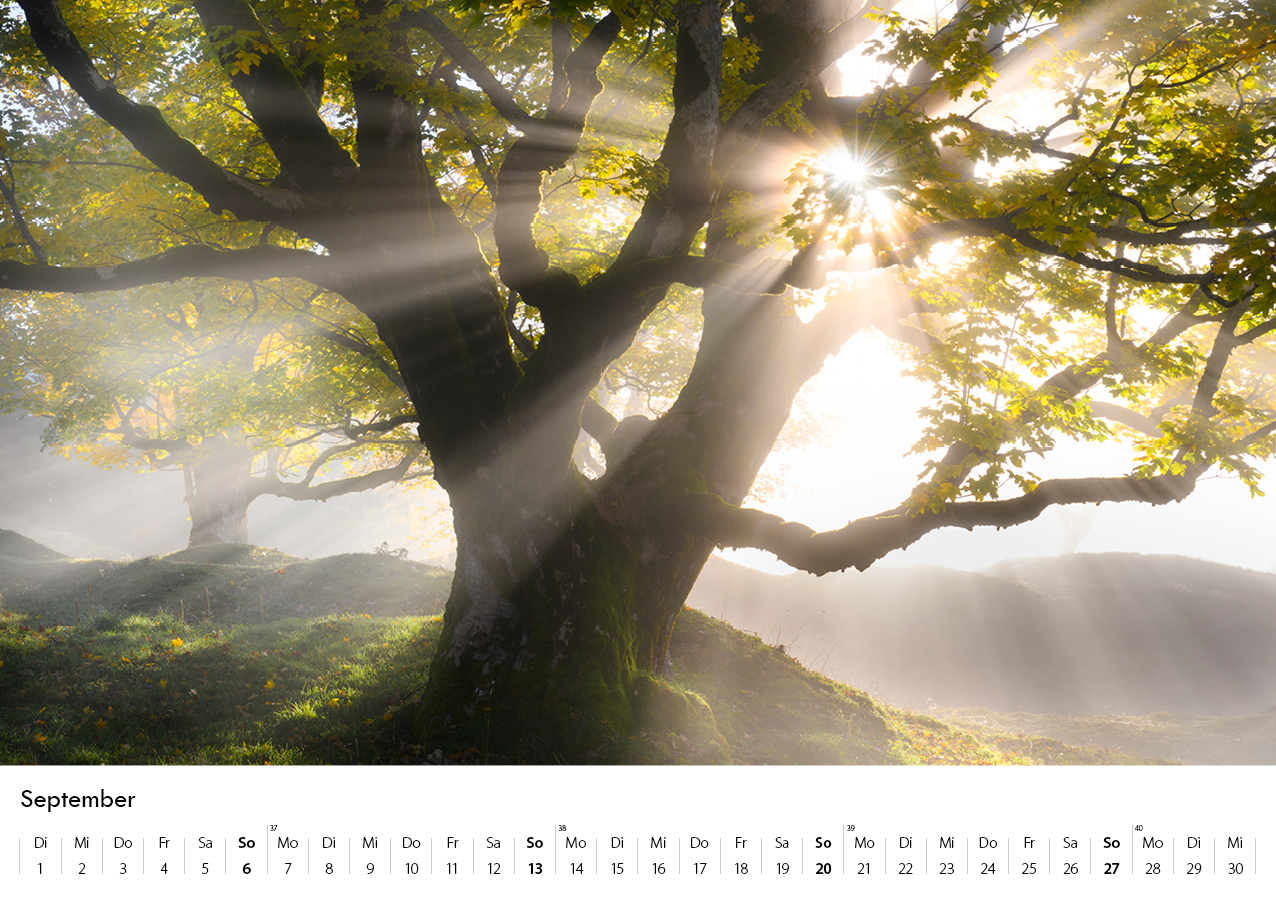 Kalender Tobias 202610